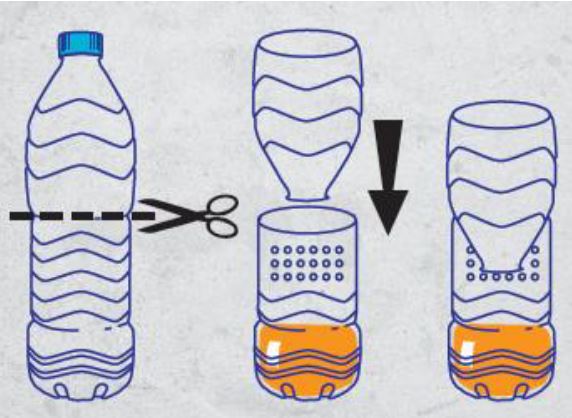 piégeage du frelon asiatique